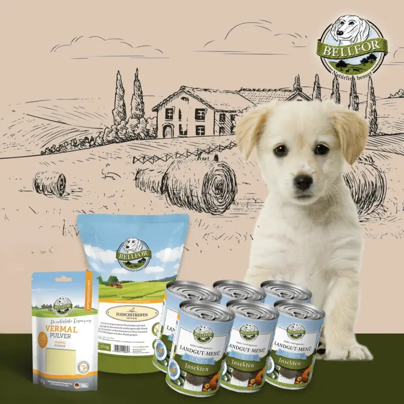 fressnapf Bellfor Magen-Darm-Bereich Unterstützung Set für Welpen 2 580 g