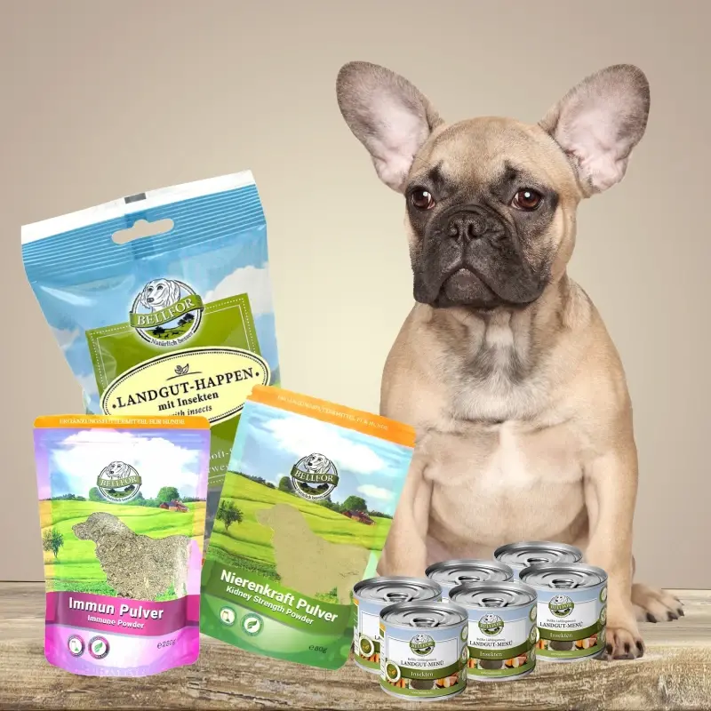 fressnapf Bellfor Hypoallergenes Hundefutter Nass im Sparset für kleine Hunde 2 760 g