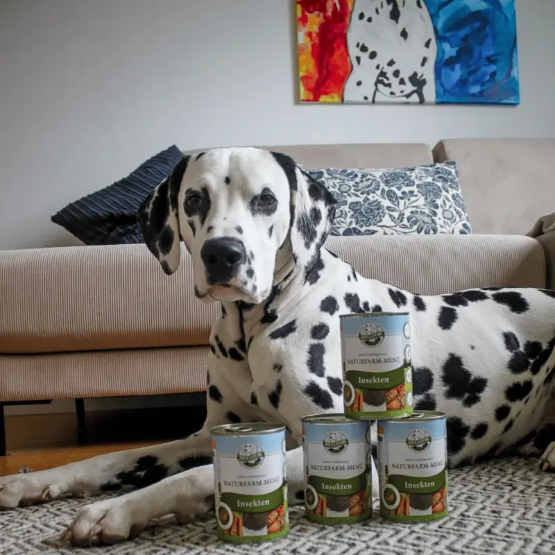 fressnapf Bellfor Hundefutter Nass mit Insekten - Naturfarm-Menü - 400g Outlet