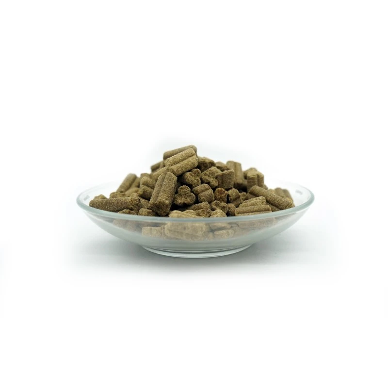 fressnapf Bellfor Trockenfutter für Hunde mit Lachs und Forelle Forstbach-Schmaus - 10 kg Online Shopping