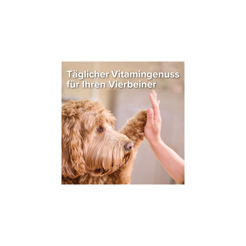 fressnapf Beaphar Multi Vitamin Paste Hund 250g Saisonschlussverkauf