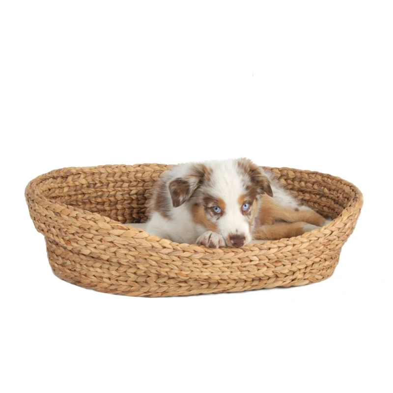 fressnapf Rohrschneider ® Tierbett Wasserhyazinthe groß