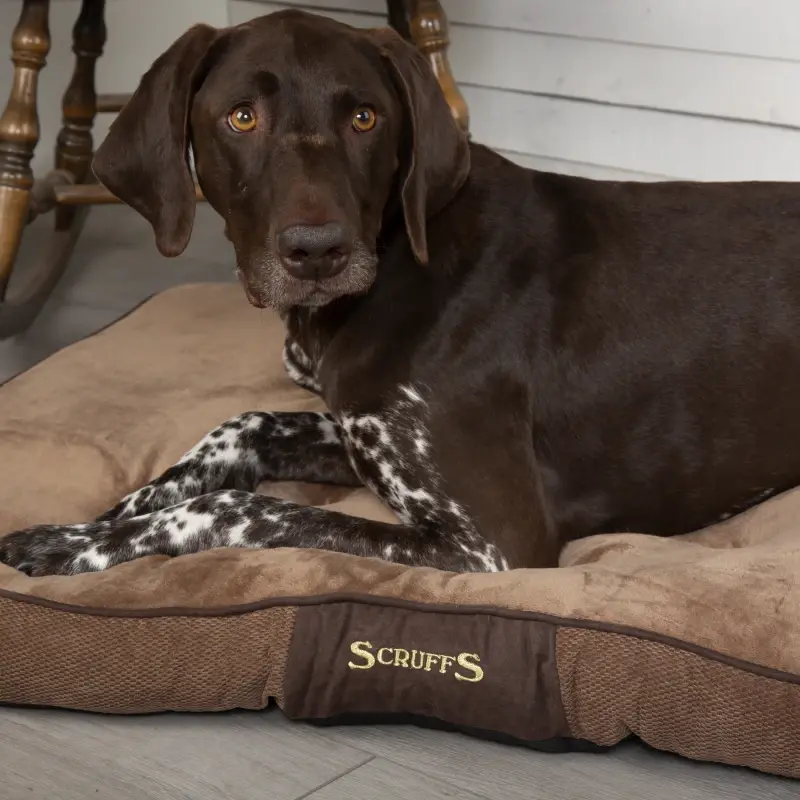 fressnapf Scruffs Hundekissen CHESTER braun L Cyber Monday