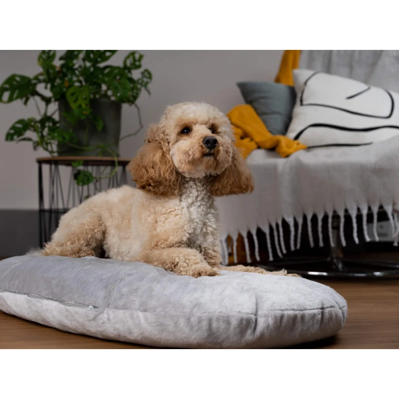 fressnapf TrendPet Emma Liegekissen grau XL Neueste Stile