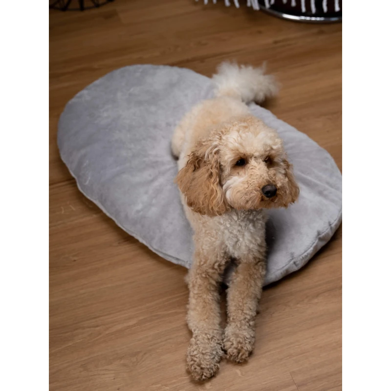 fressnapf TrendPet Emma Liegekissen grau XL Neueste Stile