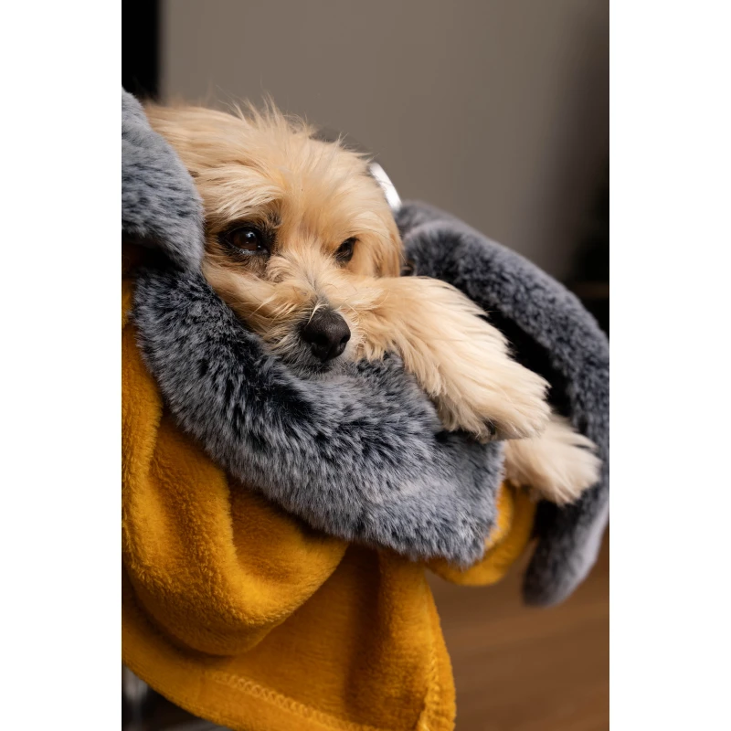 fressnapf TrendPet Yuma Hundedecke XS JETZT KAUFEN