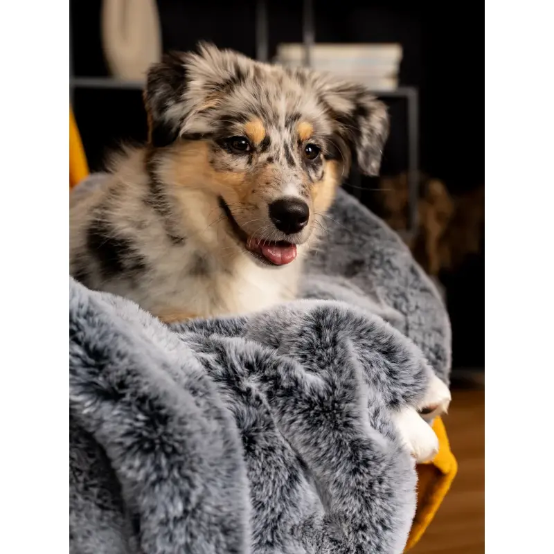 fressnapf TrendPet Yuma Hundedecke XS JETZT KAUFEN