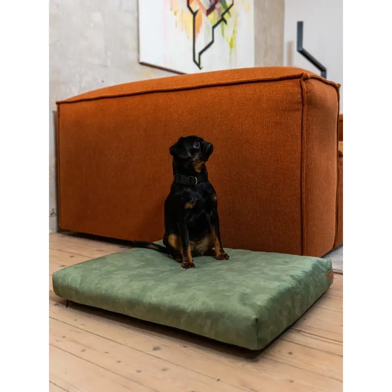 fressnapf Rexproduct SoftPet Matratze grün S Sonderangebot der Fabrik