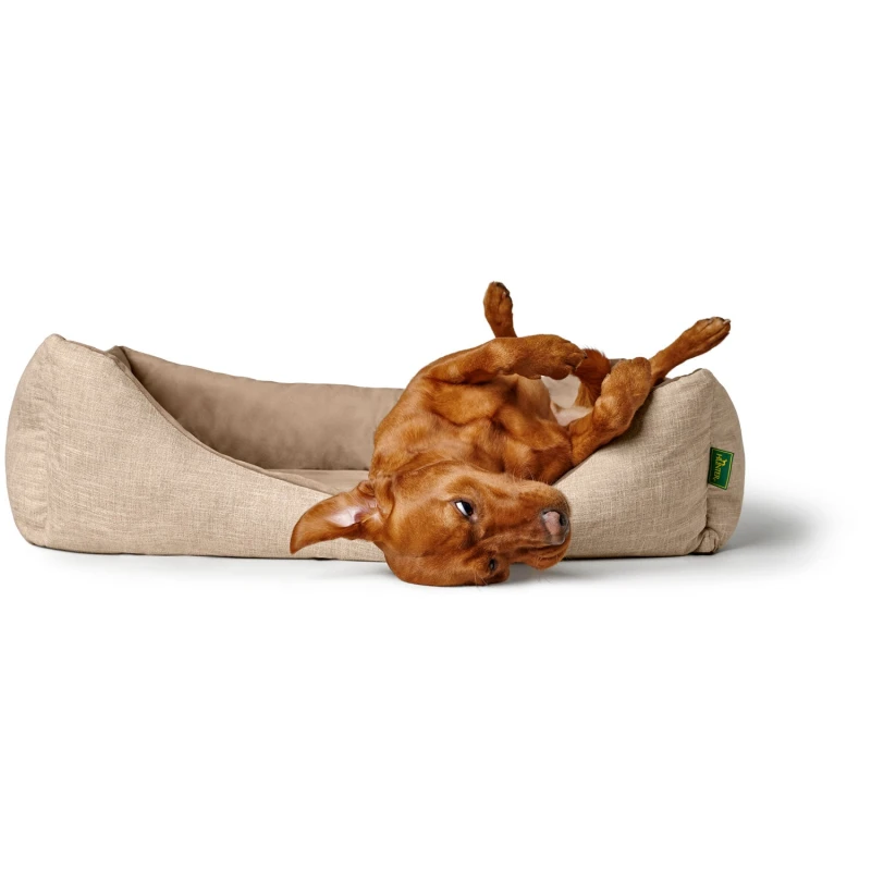 fressnapf Hunter Orthopädisches Hundesofa Seattle Günstig kaufen