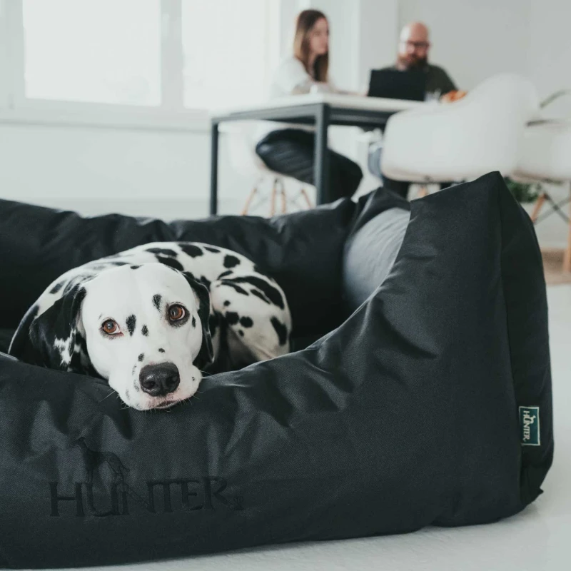 fressnapf Hunter Hundesofa Gent Antibakteriell braun S Cyber Monday