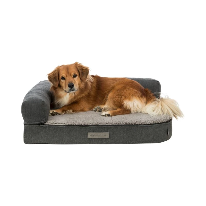 fressnapf Trixie Vital Hunde-Sofa Bendson Jubiläumsangebot