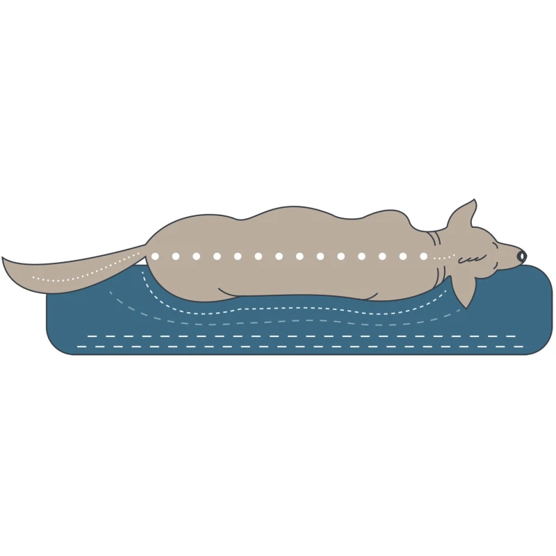 fressnapf Hunter Orthopädisches Hundesofa Merida anthrazit 60 cm 22 cm 60 cm Neueste Mode