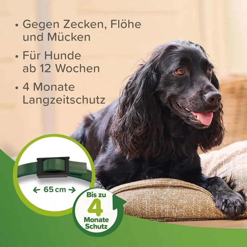 fressnapf Beaphar Zecken- und Flohschutz Halsband für Hunde Nur für heute