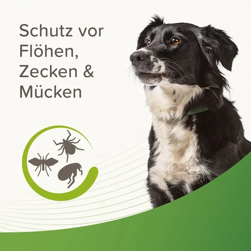 fressnapf Beaphar Zecken- und Flohschutz Halsband für Hunde Nur für heute