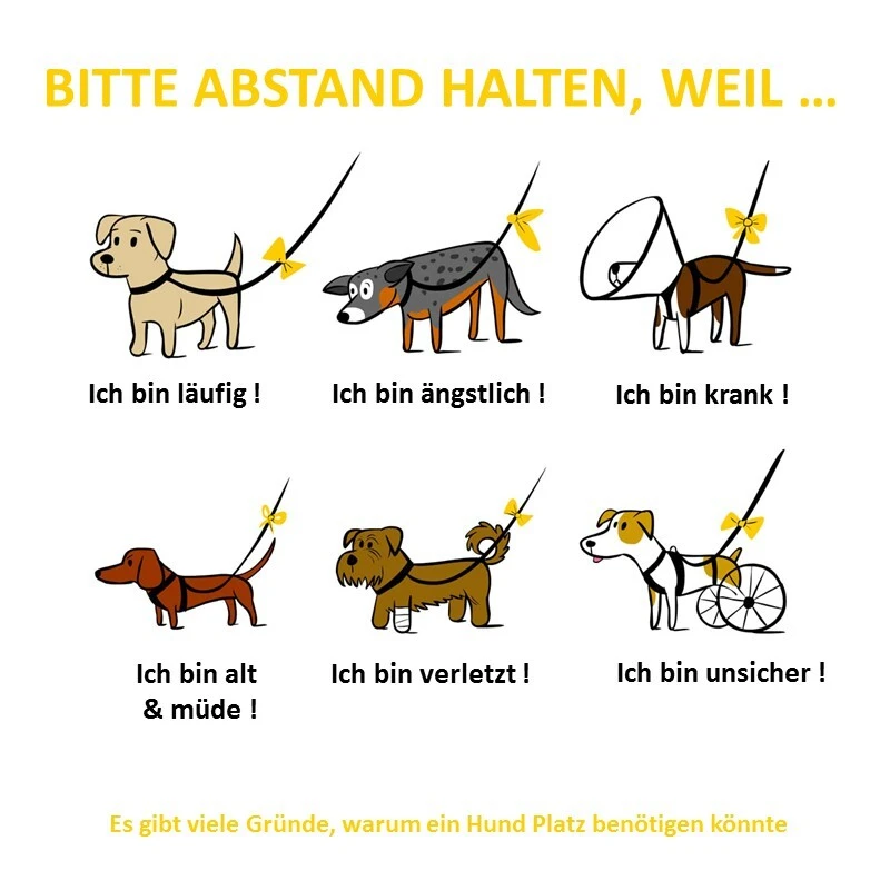 fressnapf Curli Anhänger Yellow Dog Black Friday Preise