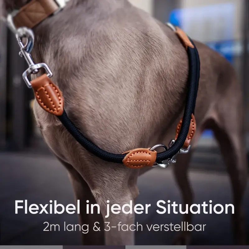 fressnapf Freudentier Hundeleine Top Angebot