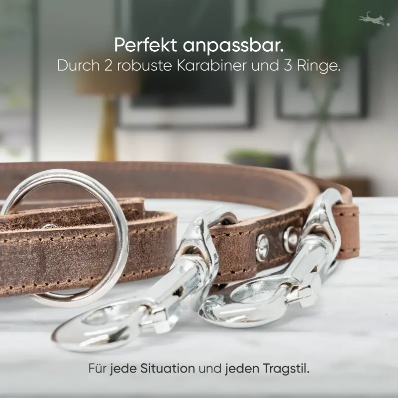 fressnapf Freudentier Führleine aus Leder dunkelbraun 1 6 cm Exklusive Angebote