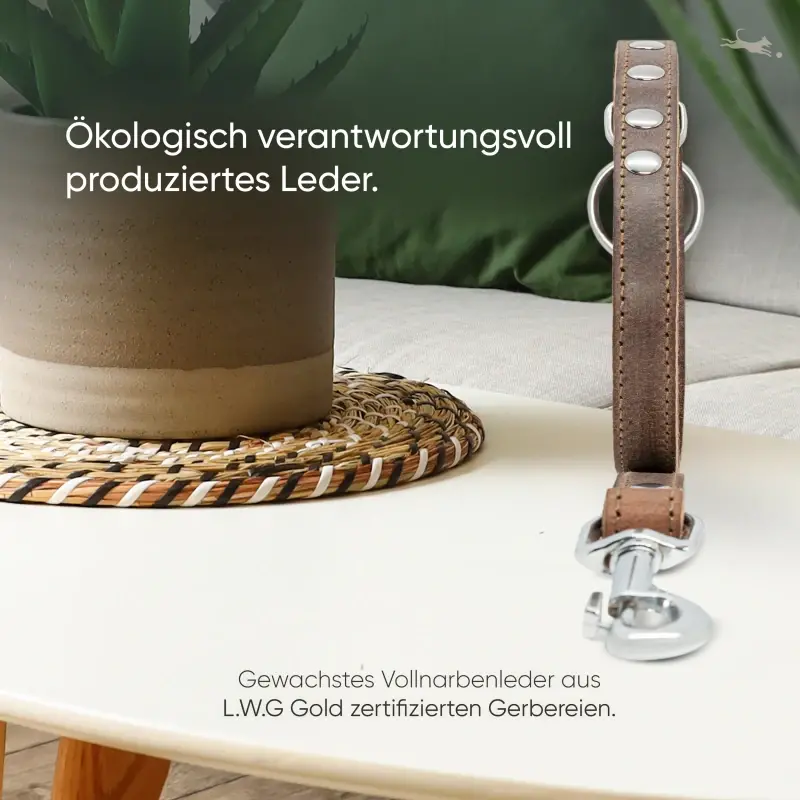 fressnapf Freudentier Führleine aus Leder dunkelbraun 1 6 cm Exklusive Angebote