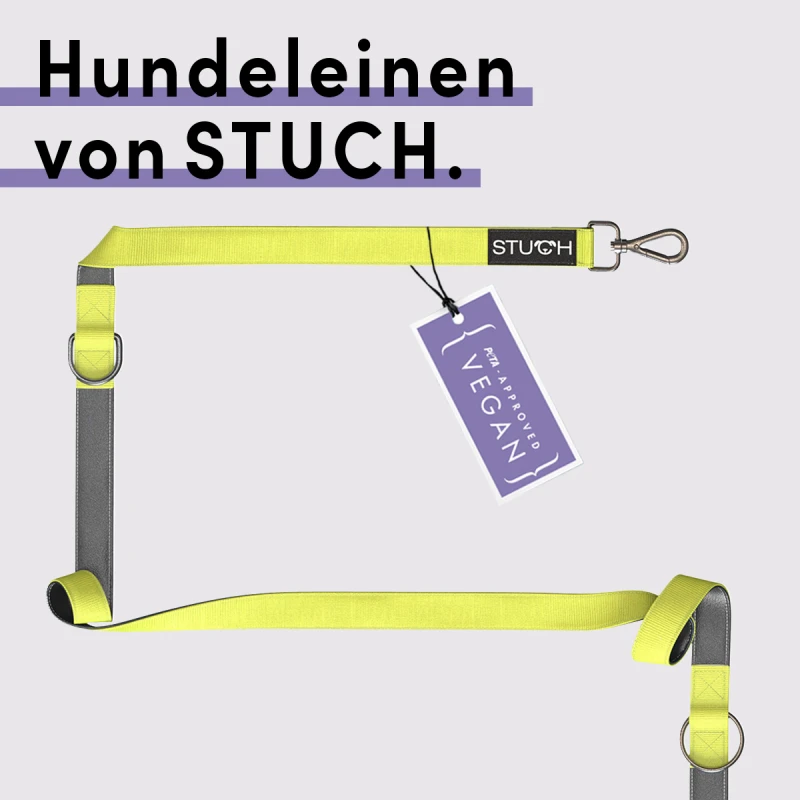 fressnapf STUCH Hundeleine Führleine Lime S Super Sparpreis