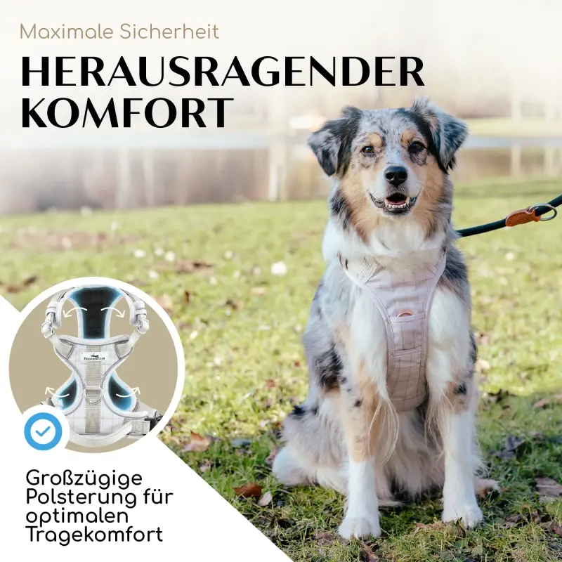 fressnapf Freudentier atmungsaktives Hundegeschirr XS Letzter Tag