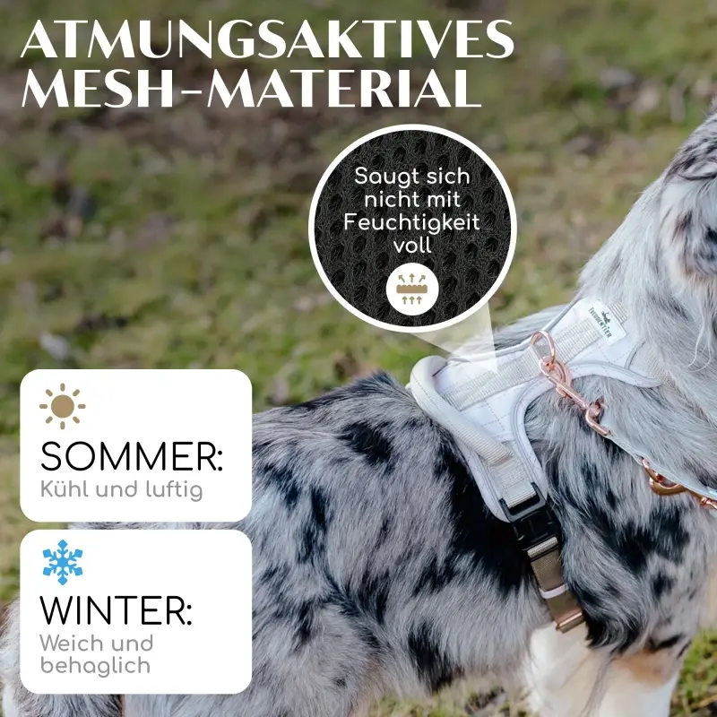 fressnapf Freudentier atmungsaktives Hundegeschirr XS Letzter Tag