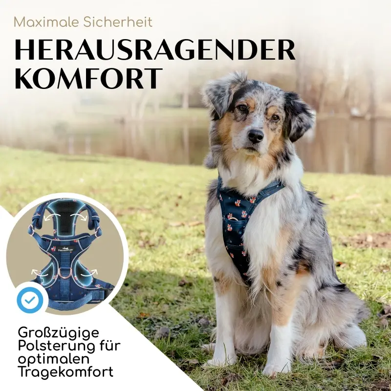 fressnapf Freudentier atmungsaktives Hundegeschirr "Let's get Foxy" S Zeitbegrenzte Promotion
