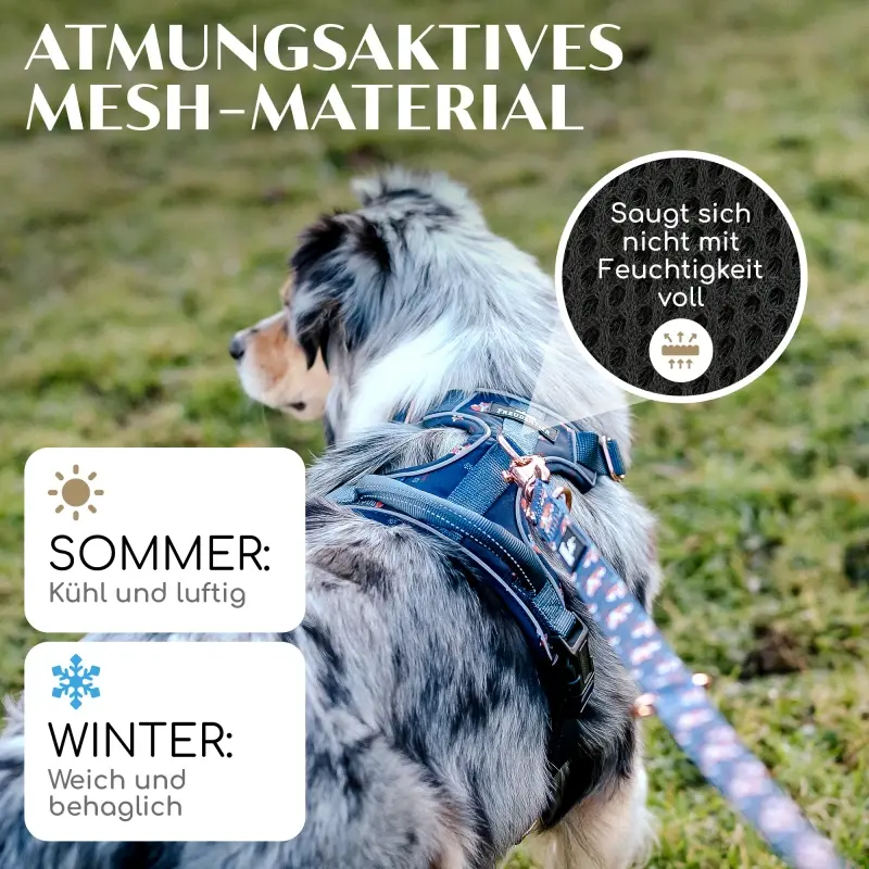 fressnapf Freudentier atmungsaktives Hundegeschirr "Let's get Foxy" S Zeitbegrenzte Promotion