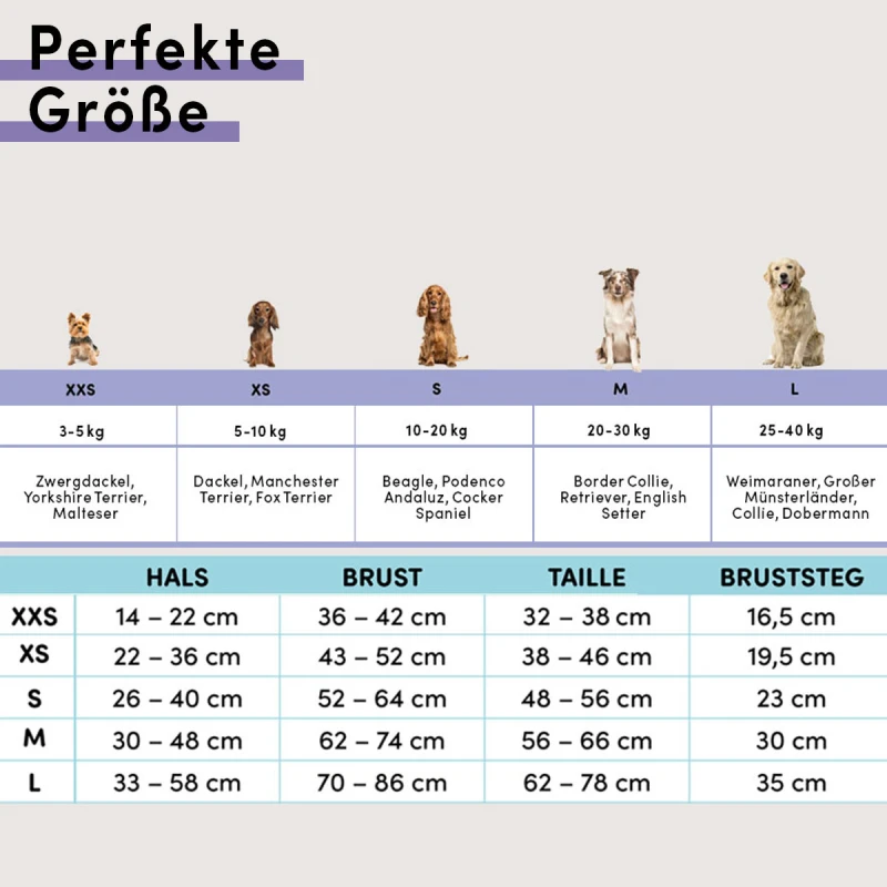 fressnapf STUCH Geschirr Hund gepolstert schwarz XXS Bis zu 50% Rabatt