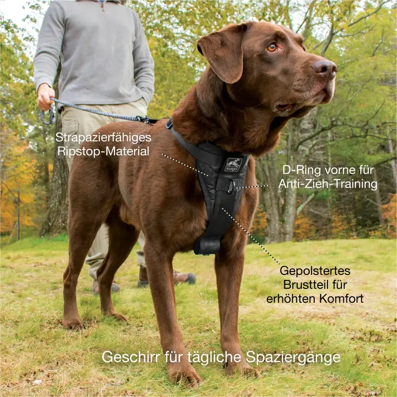 fressnapf Kurgo Tru-Fit Smart Hundegeschirr XS Bis zu 60% Rabatt