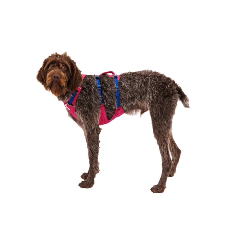 fressnapf Ruffwear Flagline™ Geschirr pink XS Bis zu 55% Rabatt