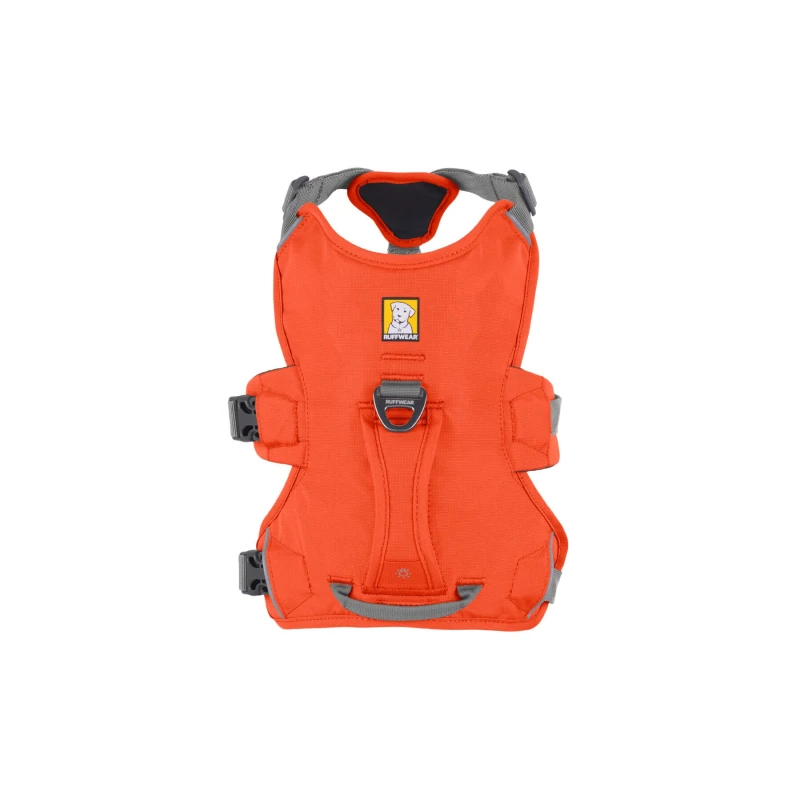 fressnapf Ruffwear Web Master™ Geschirr orange M Super Rabatt