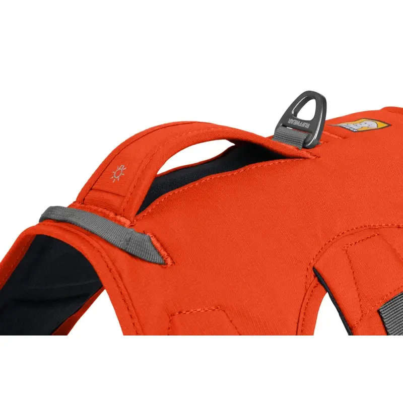 fressnapf Ruffwear Web Master™ Geschirr orange M Super Rabatt