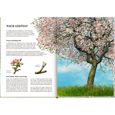manufactum Das große Buch vom Apfelbaum Kostenlose Rückgabe