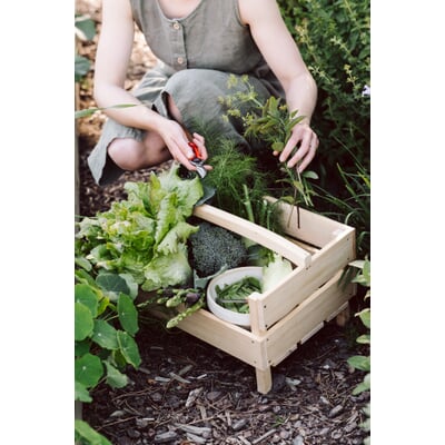 manufactum Kleine Gartenschere Nur noch ein Tag übrig