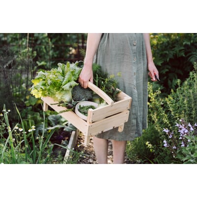 manufactum Kleine Gartenschere Nur noch ein Tag übrig