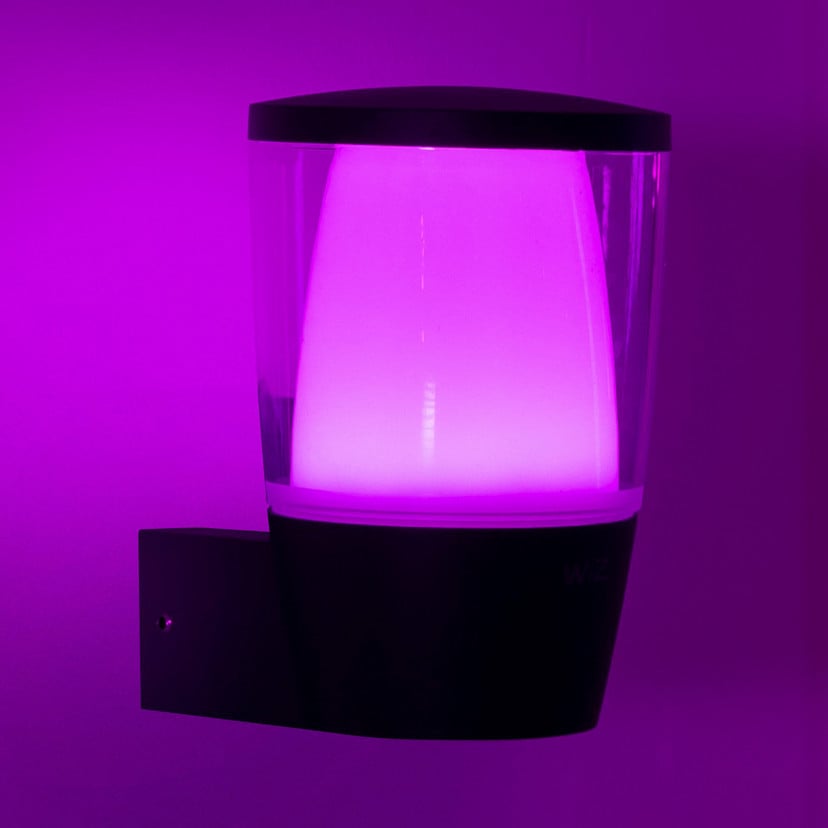 lampenwelt WiZ LED-Außenwandleuchte Elpas RGBW schwarz Fabrikpreis