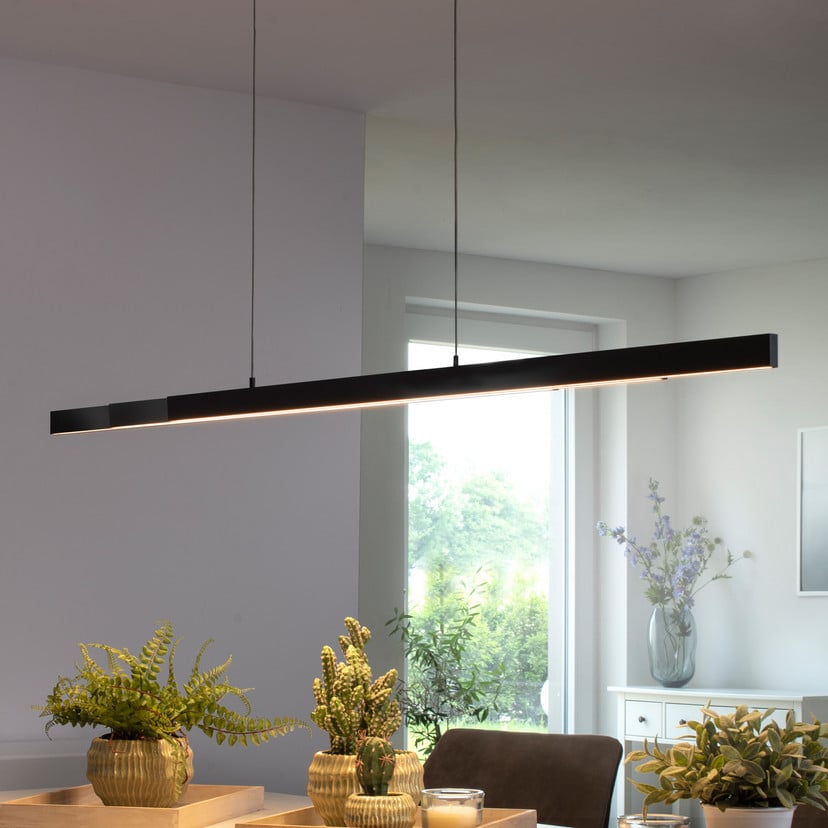 lampenwelt Paul Neuhaus Q-ARIAN LED-Pendelleuchte anthrazit Günstig kaufen